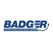 Badger Business Consultants